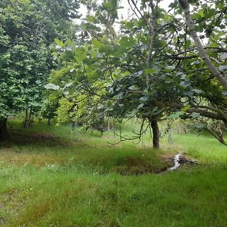 Hébergement de vacances A Casa Dos Avos